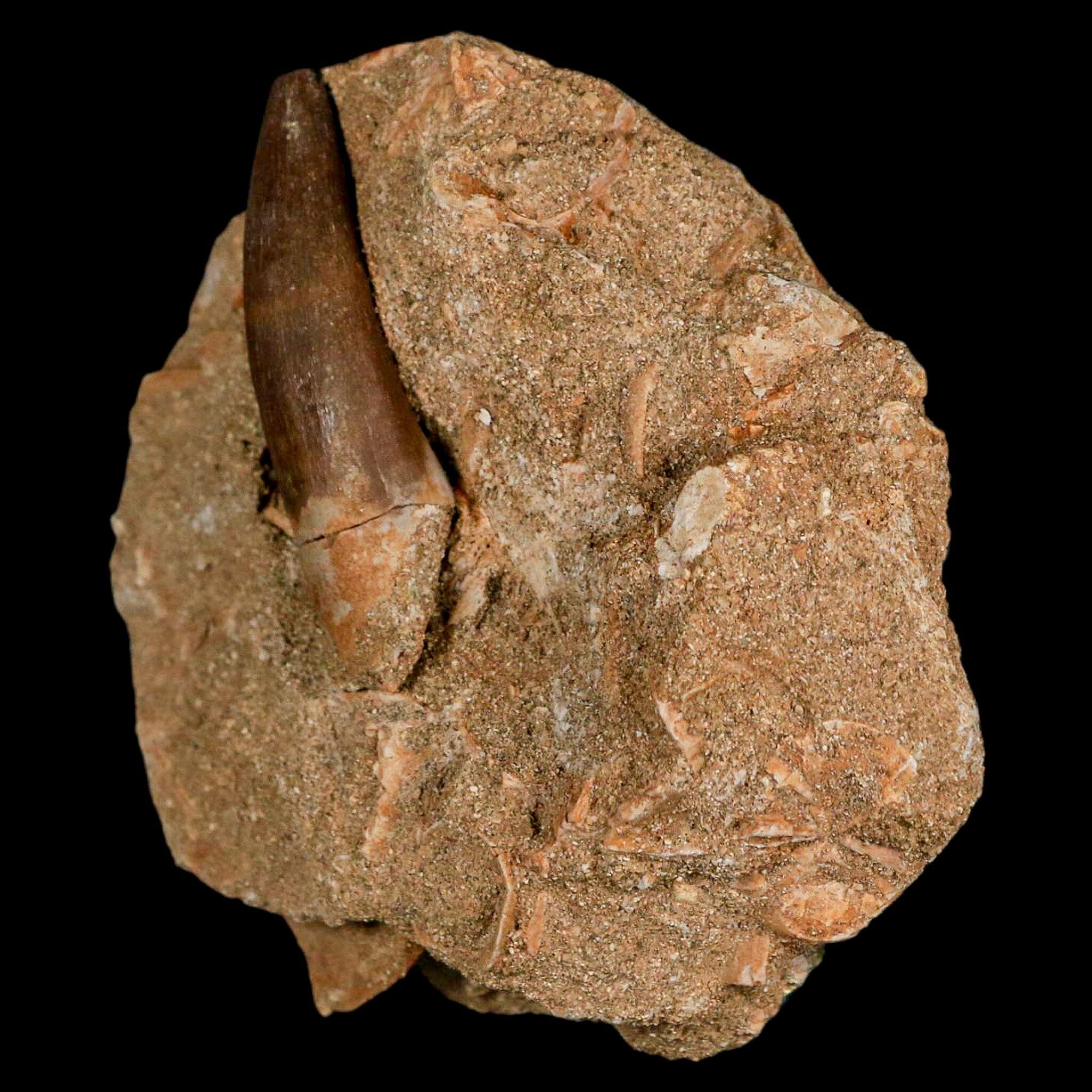 1.9