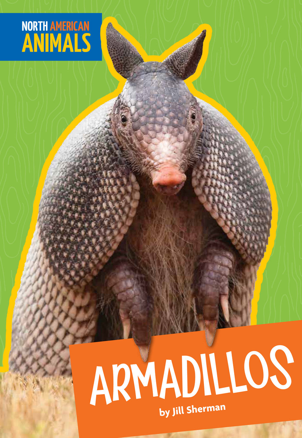 Armadillos - Unique Wildlife Figurines & Collectibles for Home Decor, Gifts, and Nature Enthusiasts | Perfect for Animal Lovers, Educational Displays, and Themed Parties
