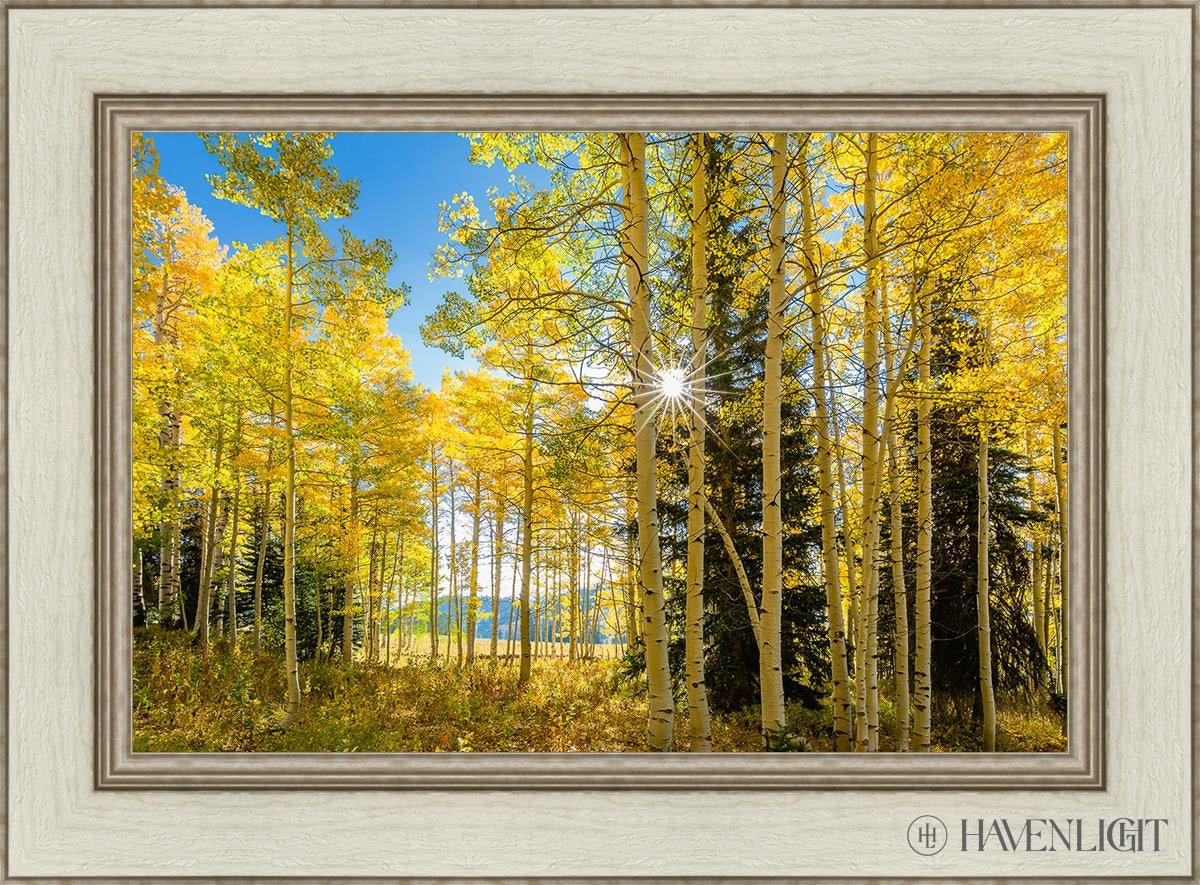 Autumn in the Rocky Mountains - Stunning Fall Foliage at Wasatch National Forest Utah | Perfect for Hiking, Photography & Nature Exploration