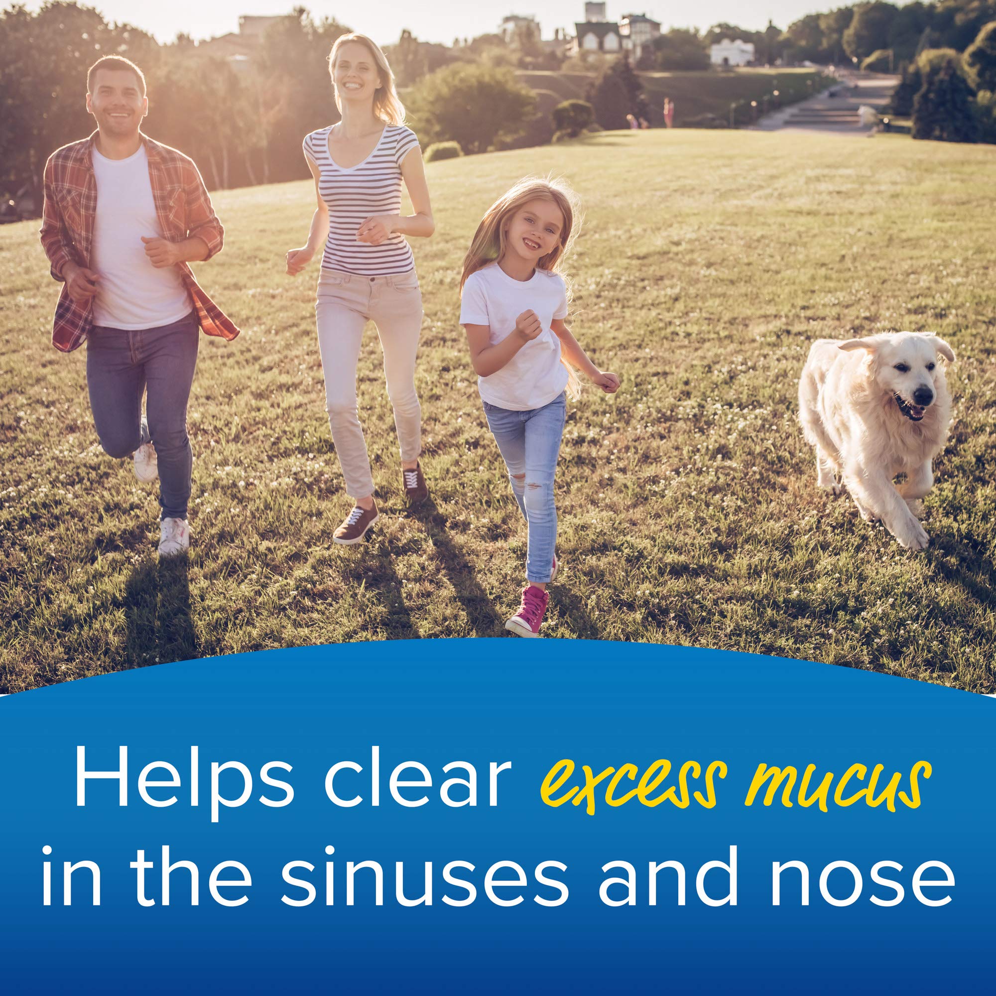 Enzymedica MucoStop Sinus & Respiratory Support Supplement - 48 Capsules for Immune Health & Seasonal Relief | Supports Clear Breathing & Nasal Comfort