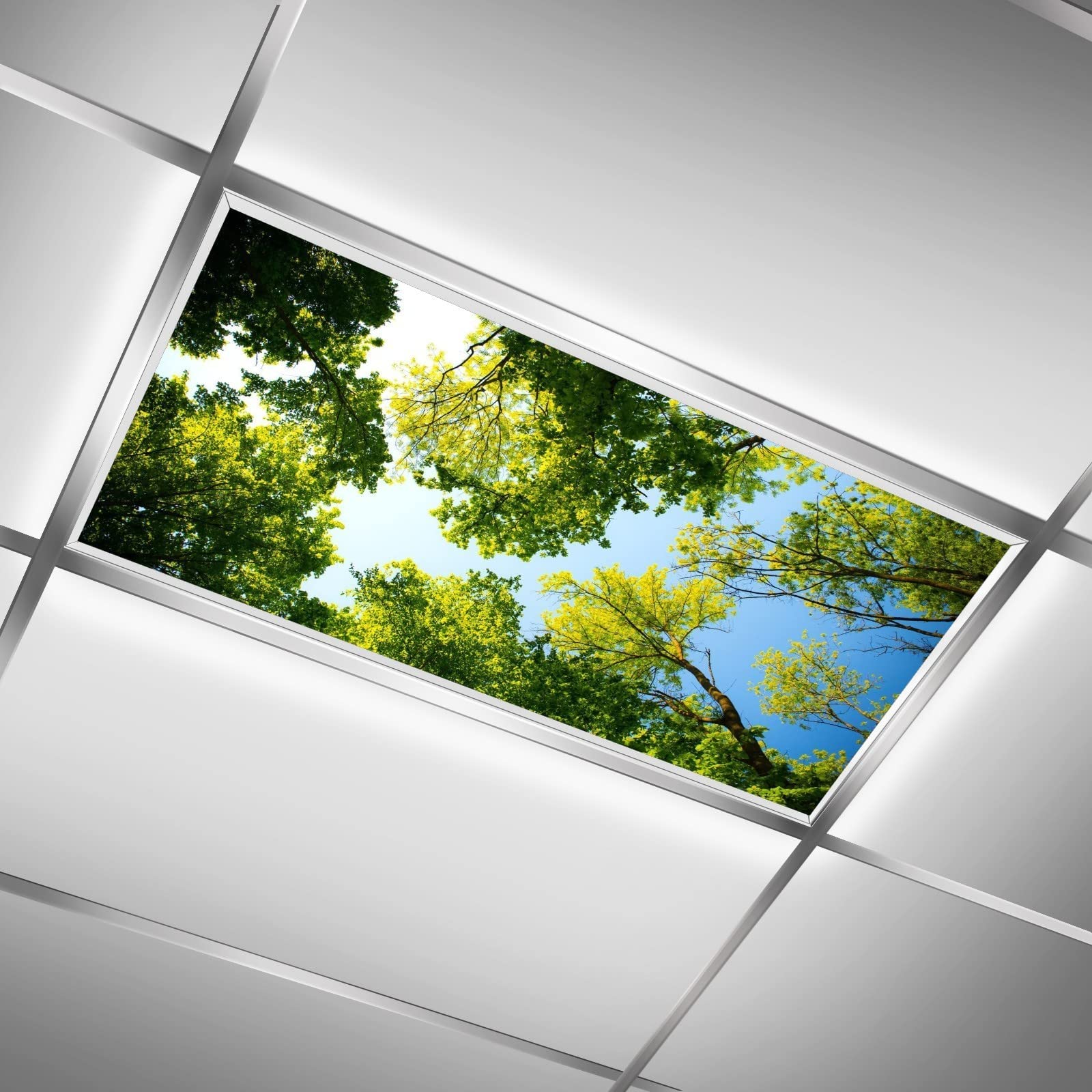 Tall Trees Fluorescent Lamp Shades for Home, Office & Classroom - Reduces Eye Strain & Headaches | Ceiling Light Cover for Indoor Spaces | Perfect for Workspaces, Study Areas & Commercial Lighting