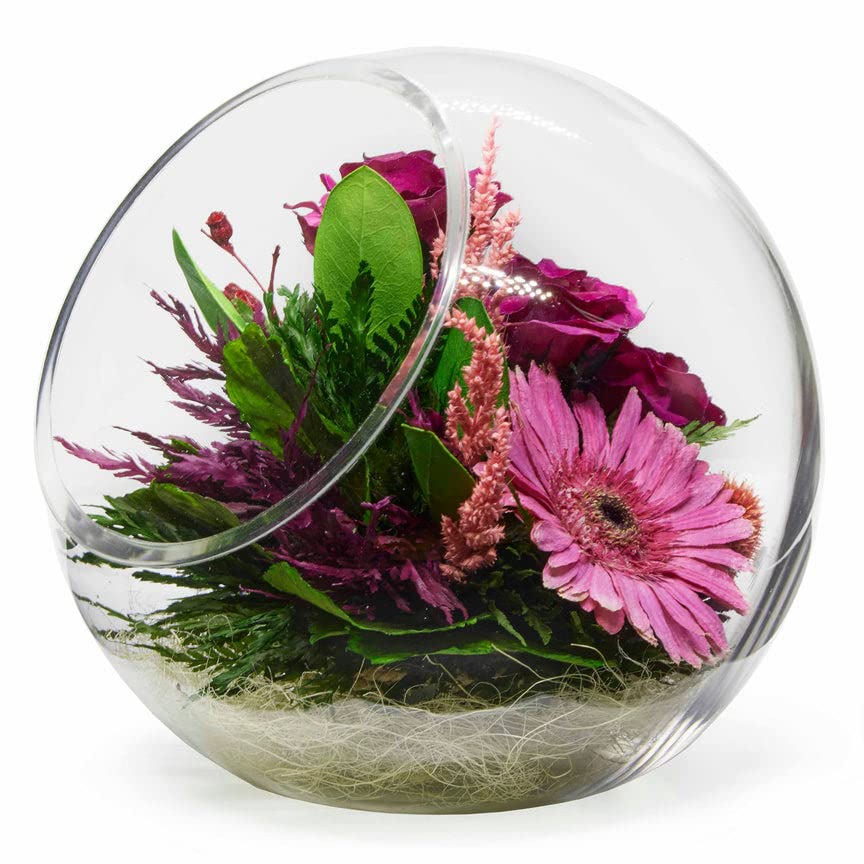 Fiora Flower | Real Preserved Roses & Orchids | Long-Lasting 5 Years | No Water Needed Home Decor | Allergy-Free & Odor-Resistant | Unique Gift for Anniversary, Wedding, Valentine's Day | Perfect for Centerpieces, Table Decor, and Romantic Gifts