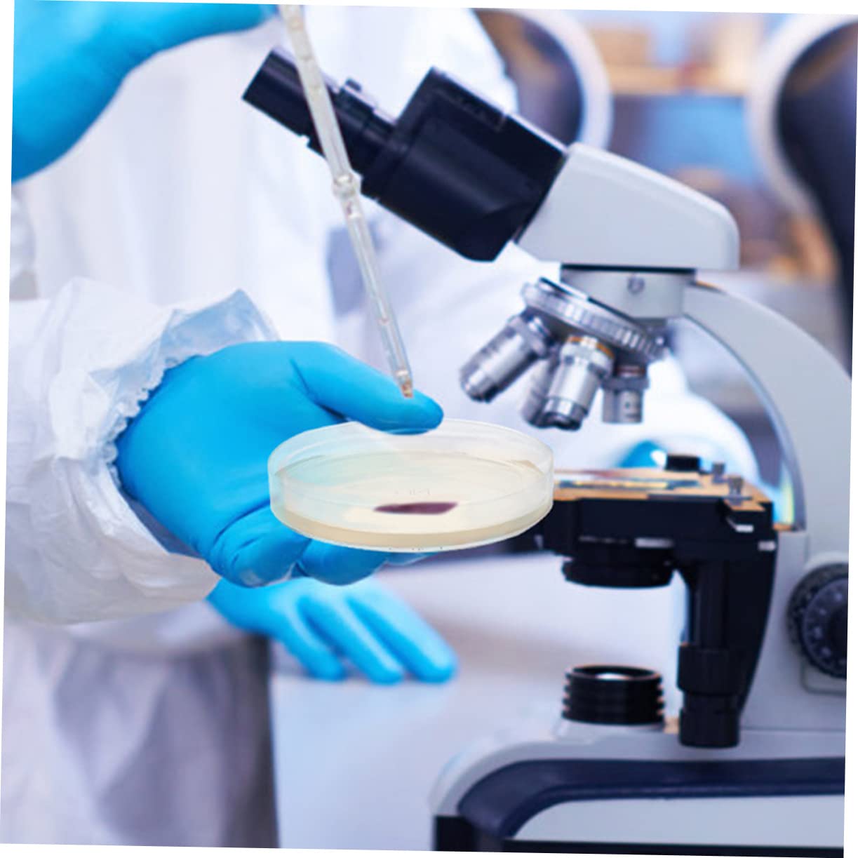30 Pcs Nutrient Agar Petri Dishes for Mushroom Tissue Culture | Lab-Grade Agar Plates for Microbiology Experiments | Perfect for Classroom Labs, Home Science Kits & Kids STEM Projects