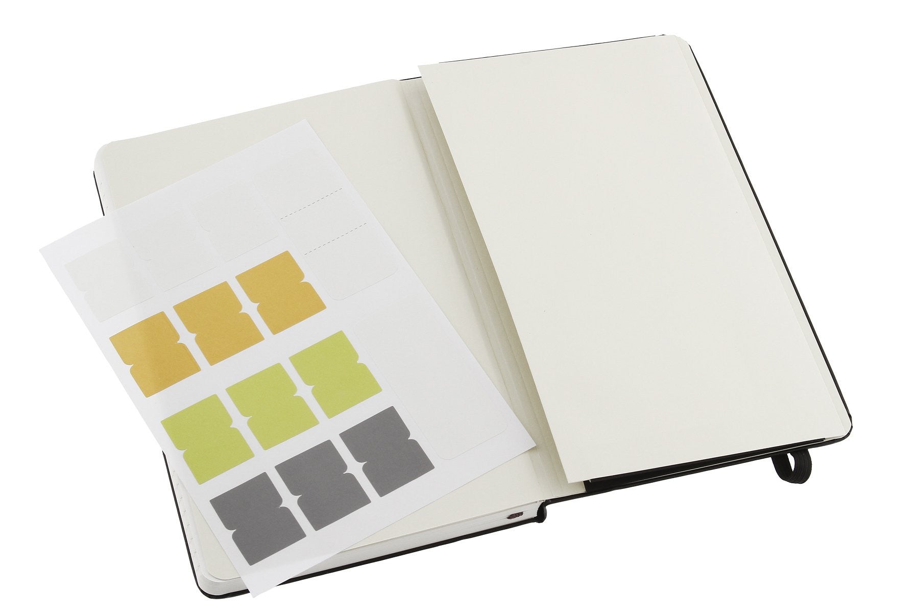 Premium Moleskine Folio Professional Notebook - Large Size (8.5