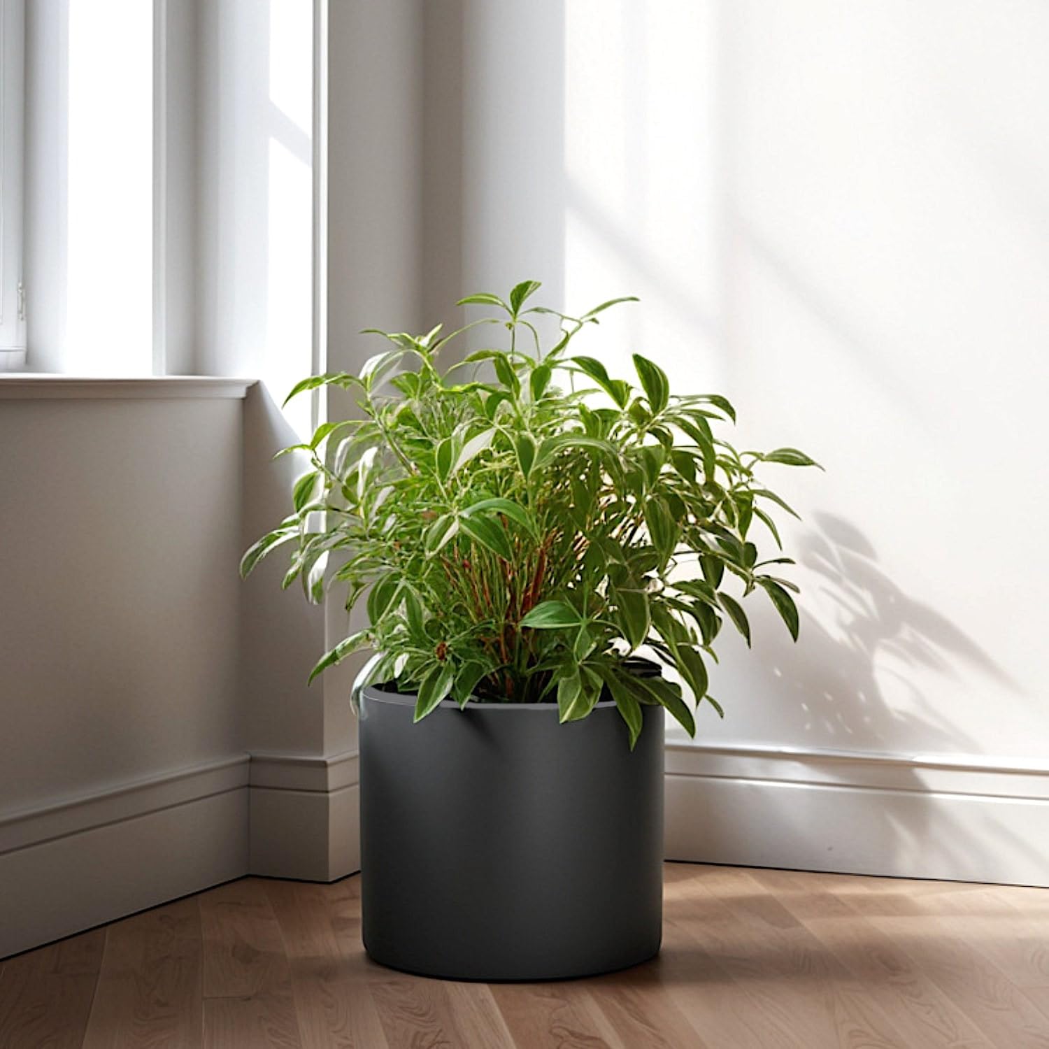 Premium 8 Inch Black Fiberstone Planter with Drainage Hole - Lightweight Matte Plant Pot for Indoor & Outdoor Plants | Weather & UV Resistant | Perfect for Home Decor, Garden, Patio & Office Plants