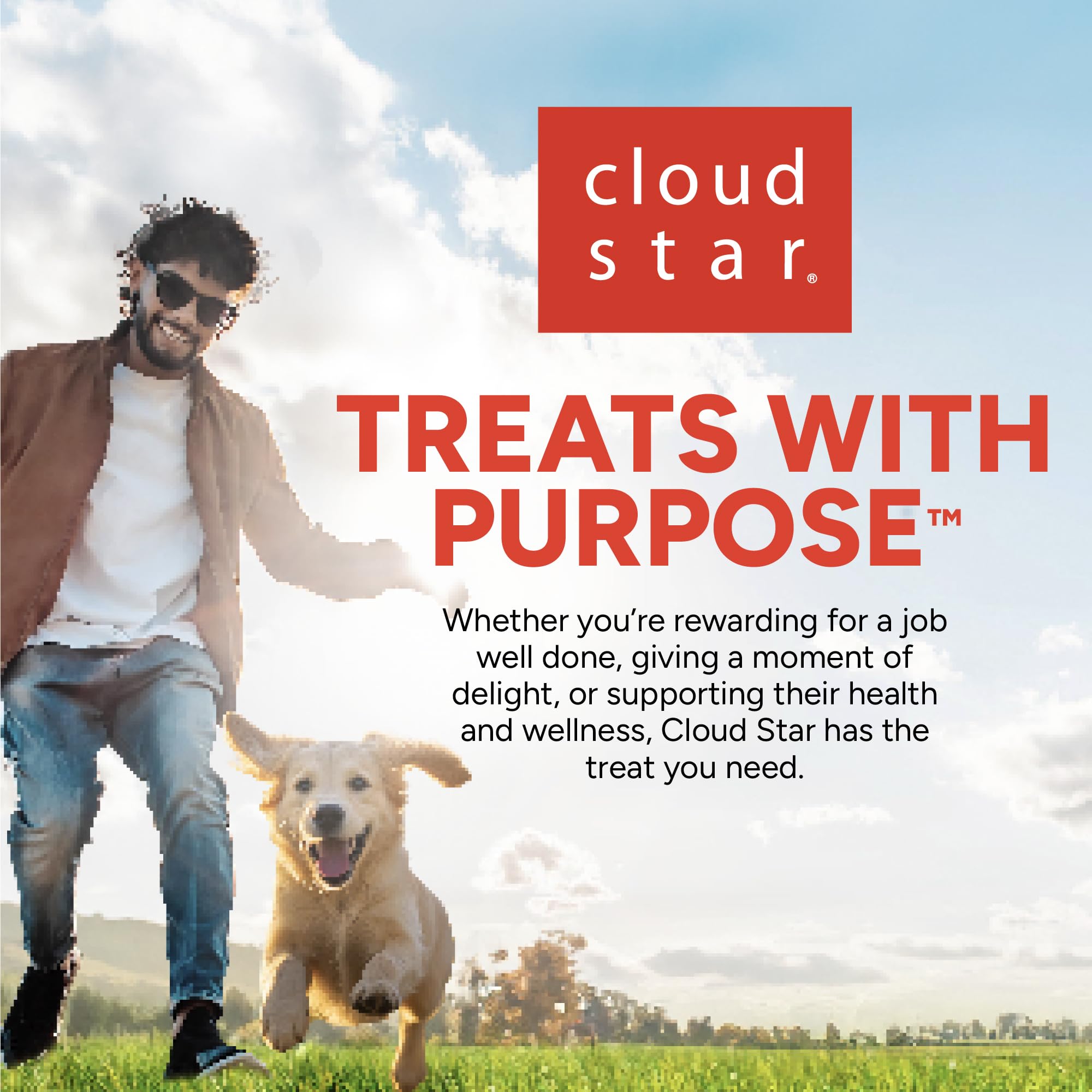 **Buddy Biscuits Softies Grain-Free Dog Treats - 5 oz Pouch, Natural Grilled Beef Flavor, Soft & Chewy, Oven Baked in USA - Perfect for Training, Rewards & Dental Health**