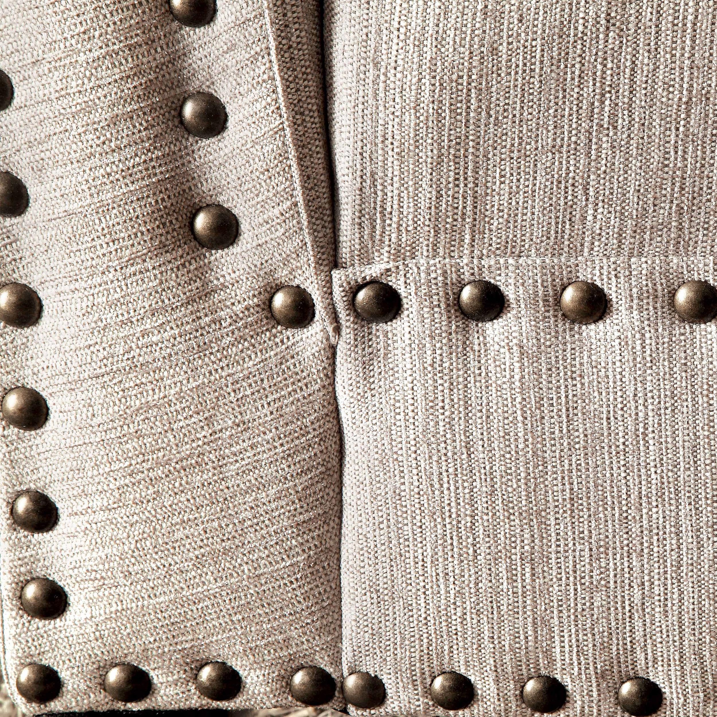 Furniture of America Jazlyn Modern Fabric Nailhead Accent Chaise Lounge in Beige - Perfect for Living Room, Bedroom or Office Relaxation