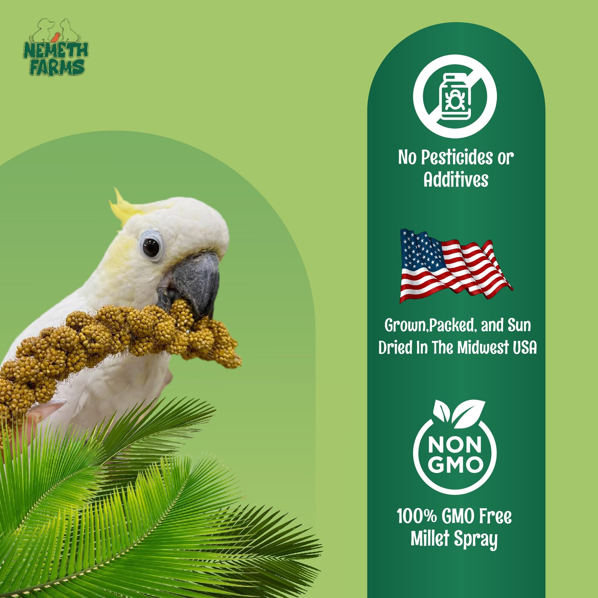 Nemeth Farms Non-GMO Sun Dried Spray Millet - Premium Bird Treat for Parakeets, Cockatiels, Lovebirds & Finches | No Stems, Only Edible Tops | 25lb Bulk Bag - Perfect for Training, Foraging & Daily Nutrition