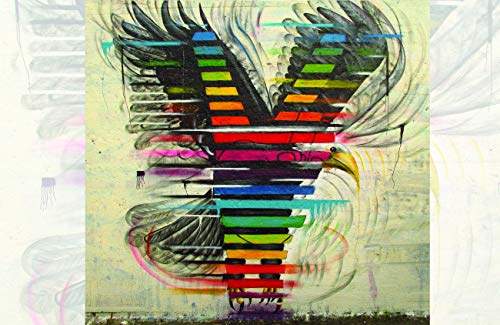 Rainbow Eagle