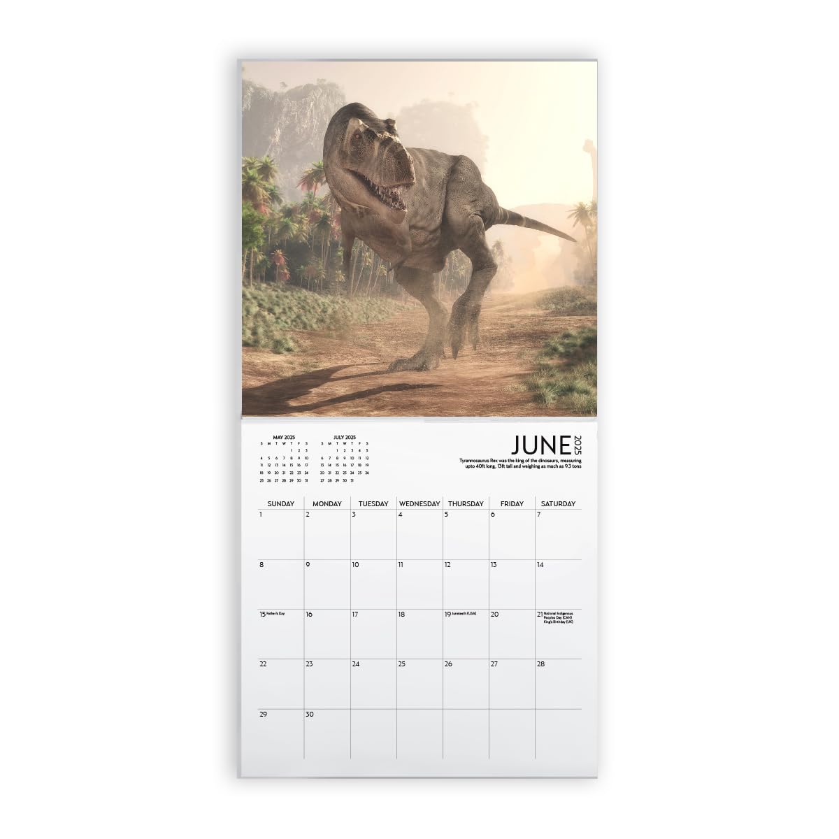 2025 Dinosaur Wall Calendar - Large 12