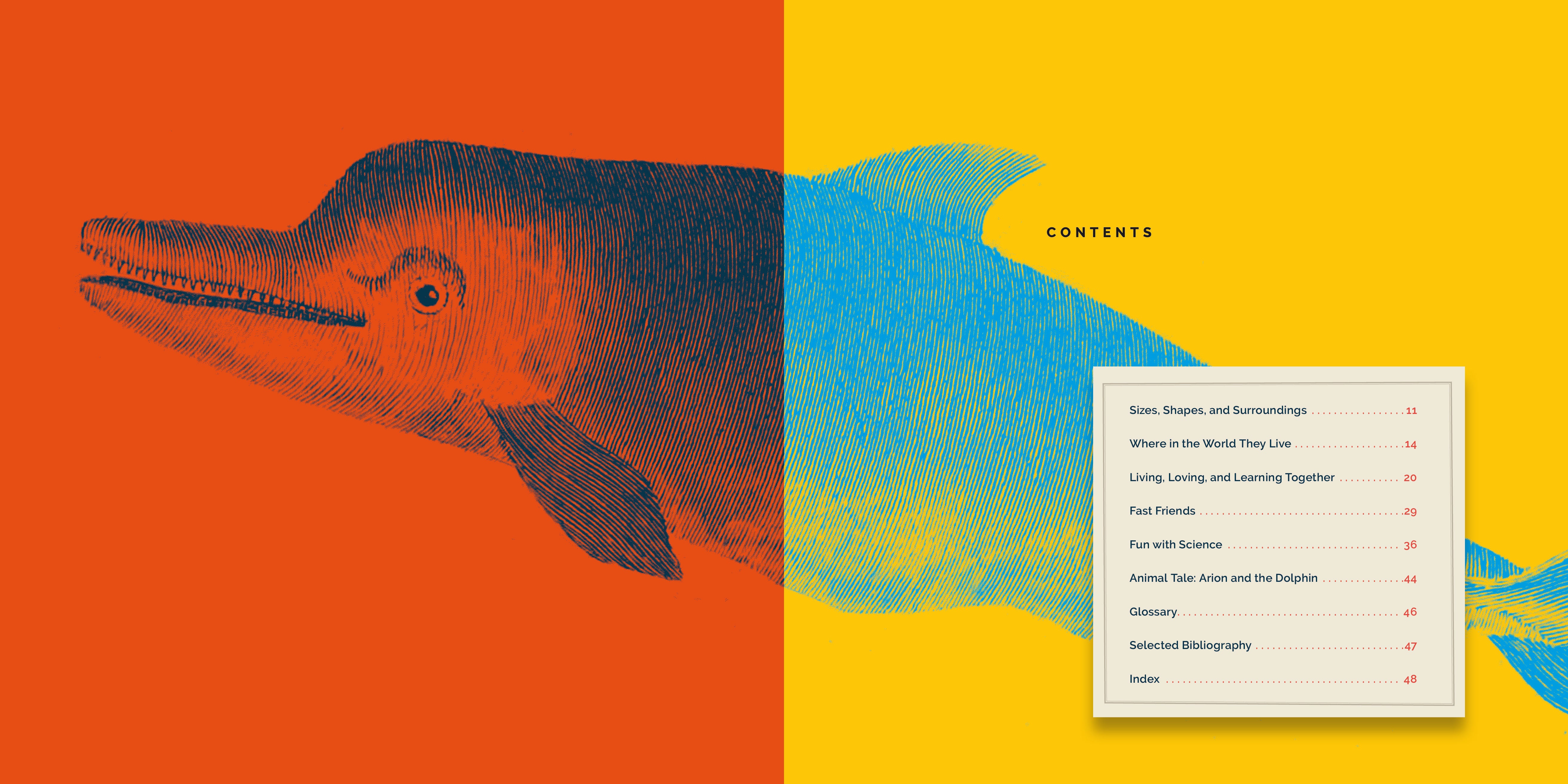 Dolphins Book 9781640265233 - Learn About Marine Life, Perfect for Kids & Ocean Enthusiasts | Great for School Projects & Nature Lovers