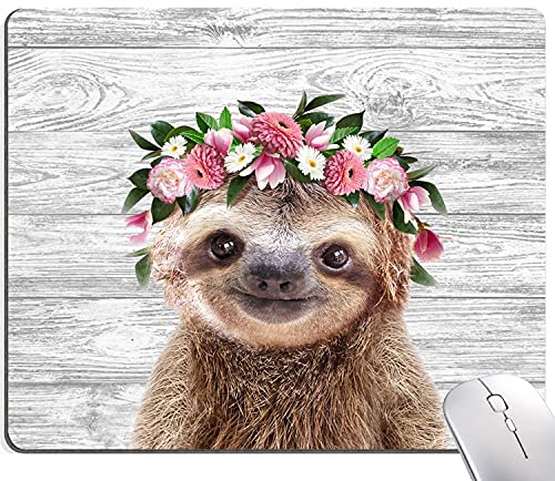 02 Sloth