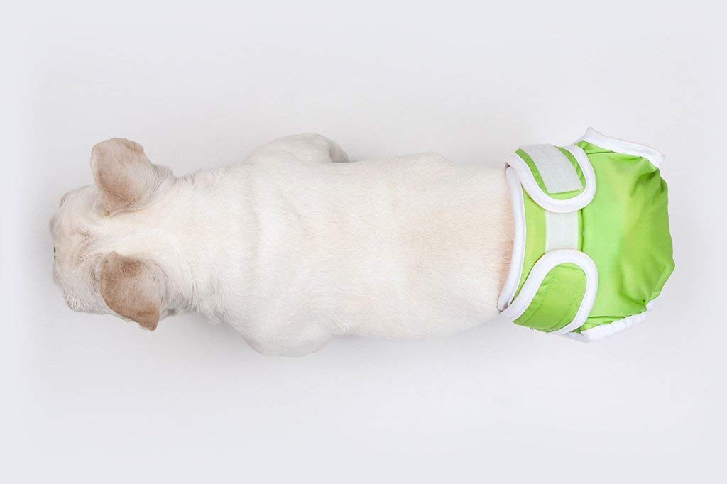 Washable Reusable Female Dog Diapers for Small Dogs - No Tail Hole, Premium Absorbent Pet Panties | XXS Green | Perfect for Incontinence, Heat Cycles & Travel