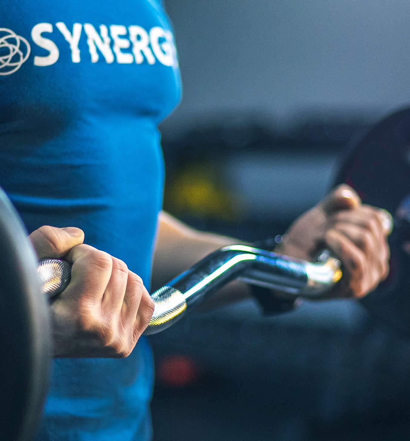 Synergee Fixed Easy Curl Bar - 15LB Pre-Weighted Curved Steel Barbell with Rubber Coated Weights for Home Gym, Strength Training & Arm Workouts - Perfect for Bicep Curls, Triceps Exercises & Full-Body Workouts