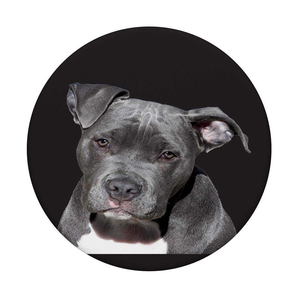 Pitbull PopSockets PopGrip: Interchangeable Phone & Tablet Grip with Swappable Top - Perfect for Selfies, Gaming, and Secure Phone Handling