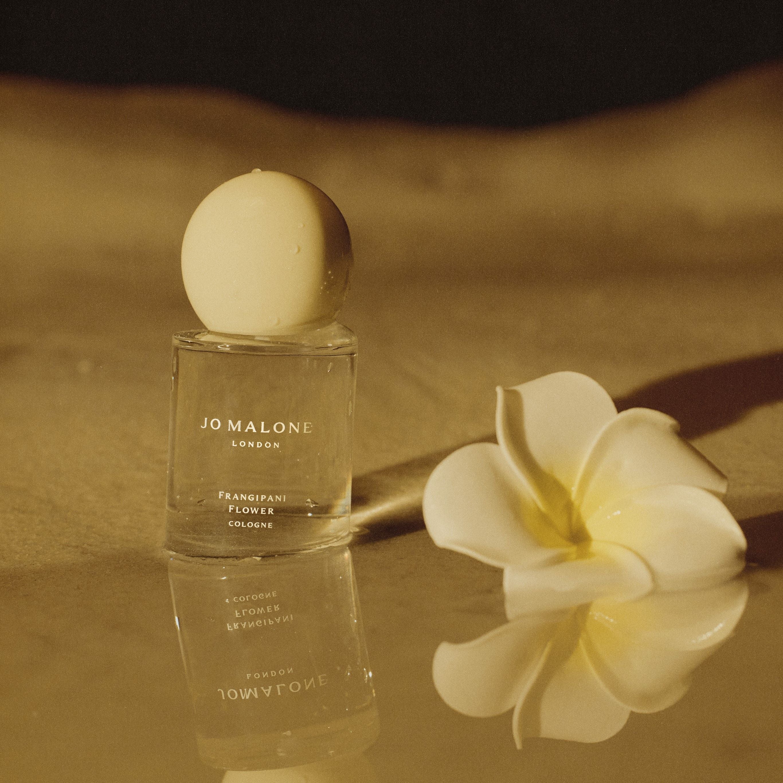 Natural Frangipani Flower Cologne for Women & Men - Long Lasting Floral Perfume for Daily Wear, Date Night & Special Occasions