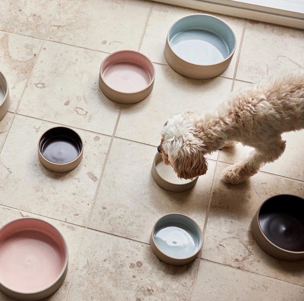 OYOY ZOO Sia Dog Bowl - Ceramic Pet Food & Water Dish for Small Medium Large Dogs - Durable & Stylish White Bowl for Indoor/Outdoor Feeding & Dining Areas