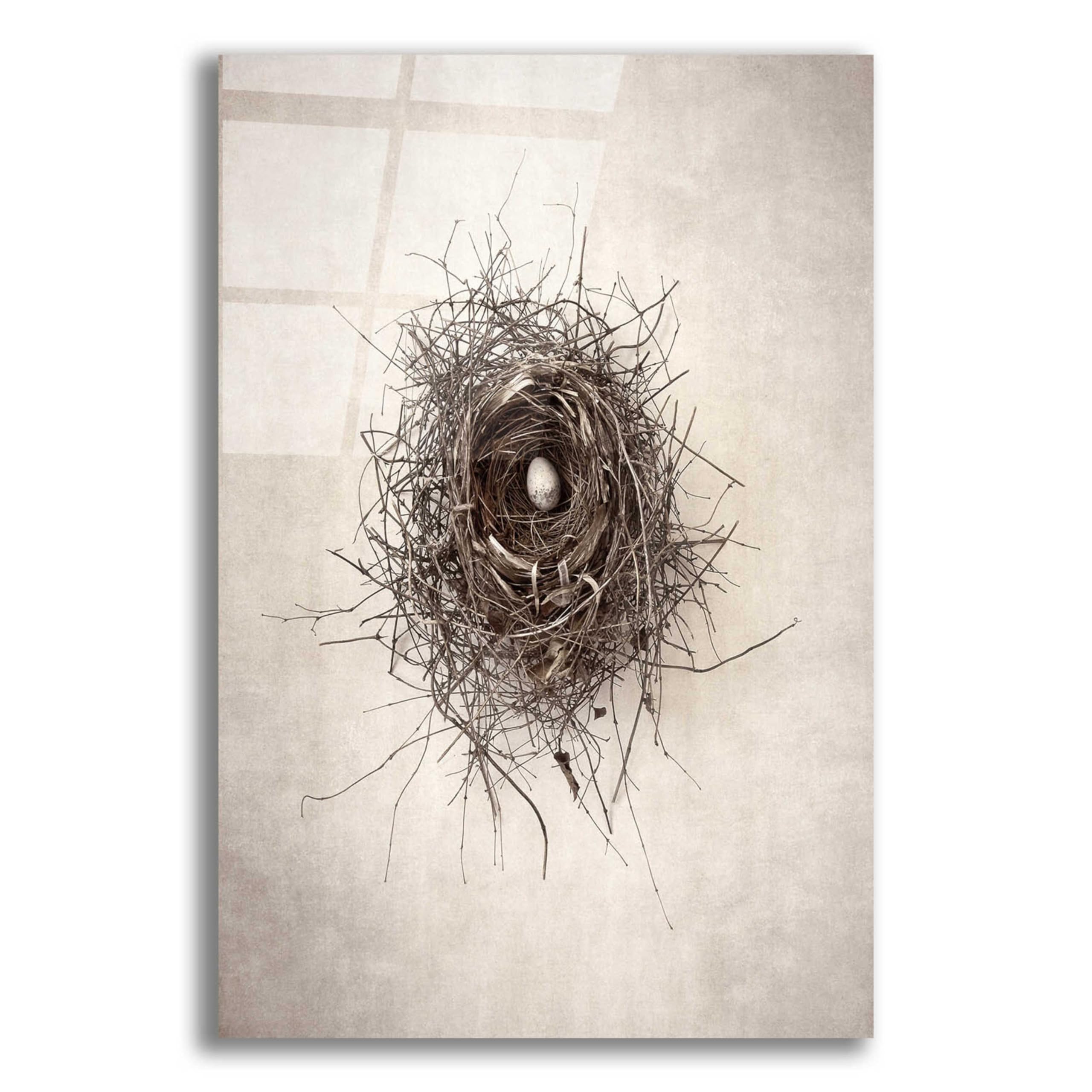 Debra Van Swearingen 'Nest I' Acrylic Glass Wall Art - 16x24 Inches Modern Abstract Painting for Living Room, Bedroom & Office Decor