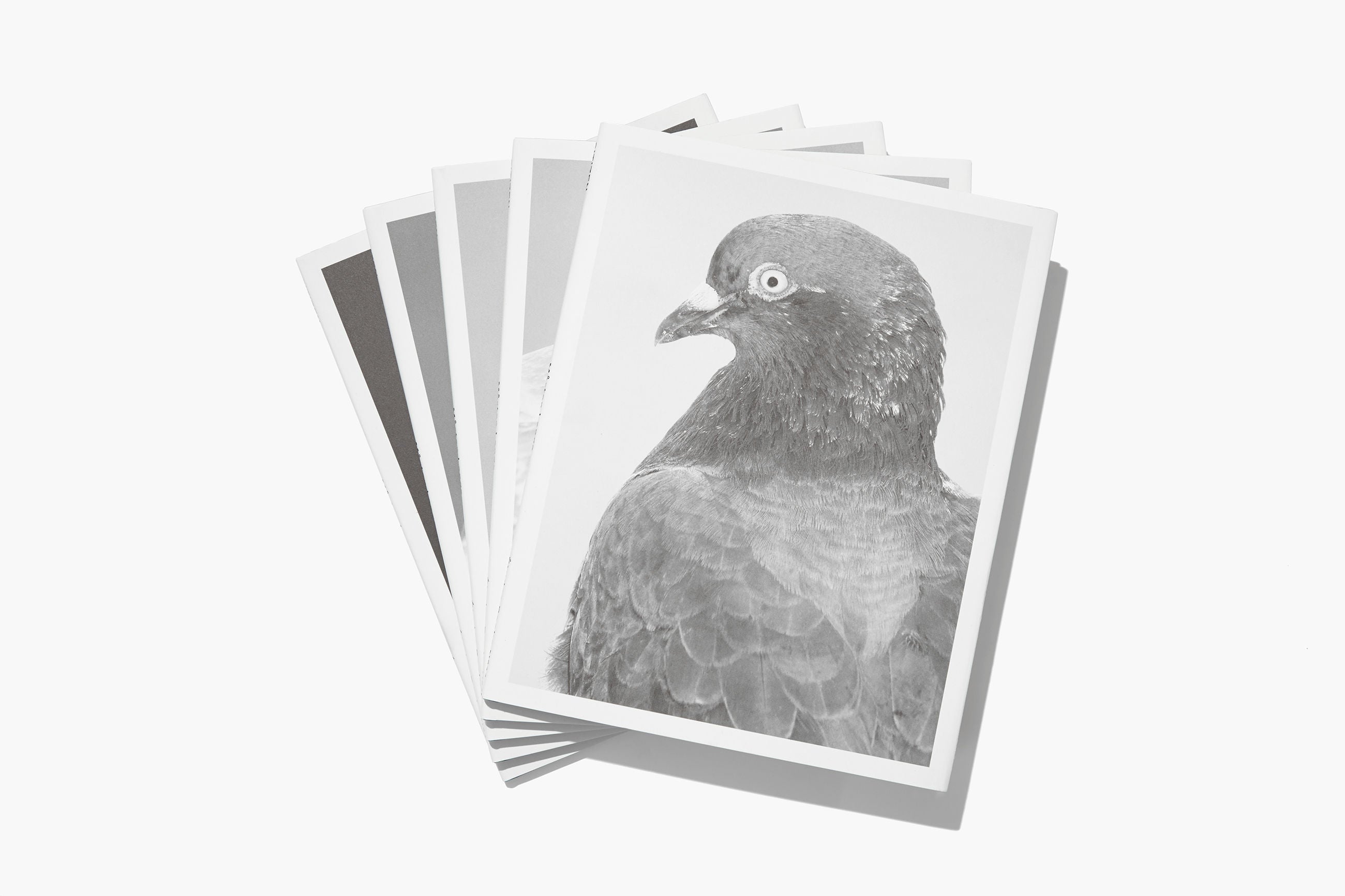 N°11 by Mårten Lange - Premium Art Photography Book for Collectors & Enthusiasts | Perfect for Home Decor, Gifts & Coffee Table Display