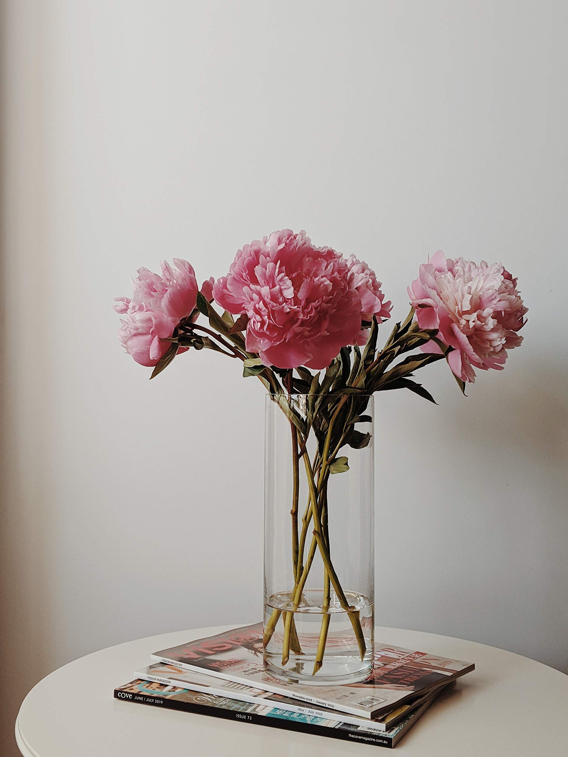 Premium Weighted Clear Glass Cylinder Vases - 4