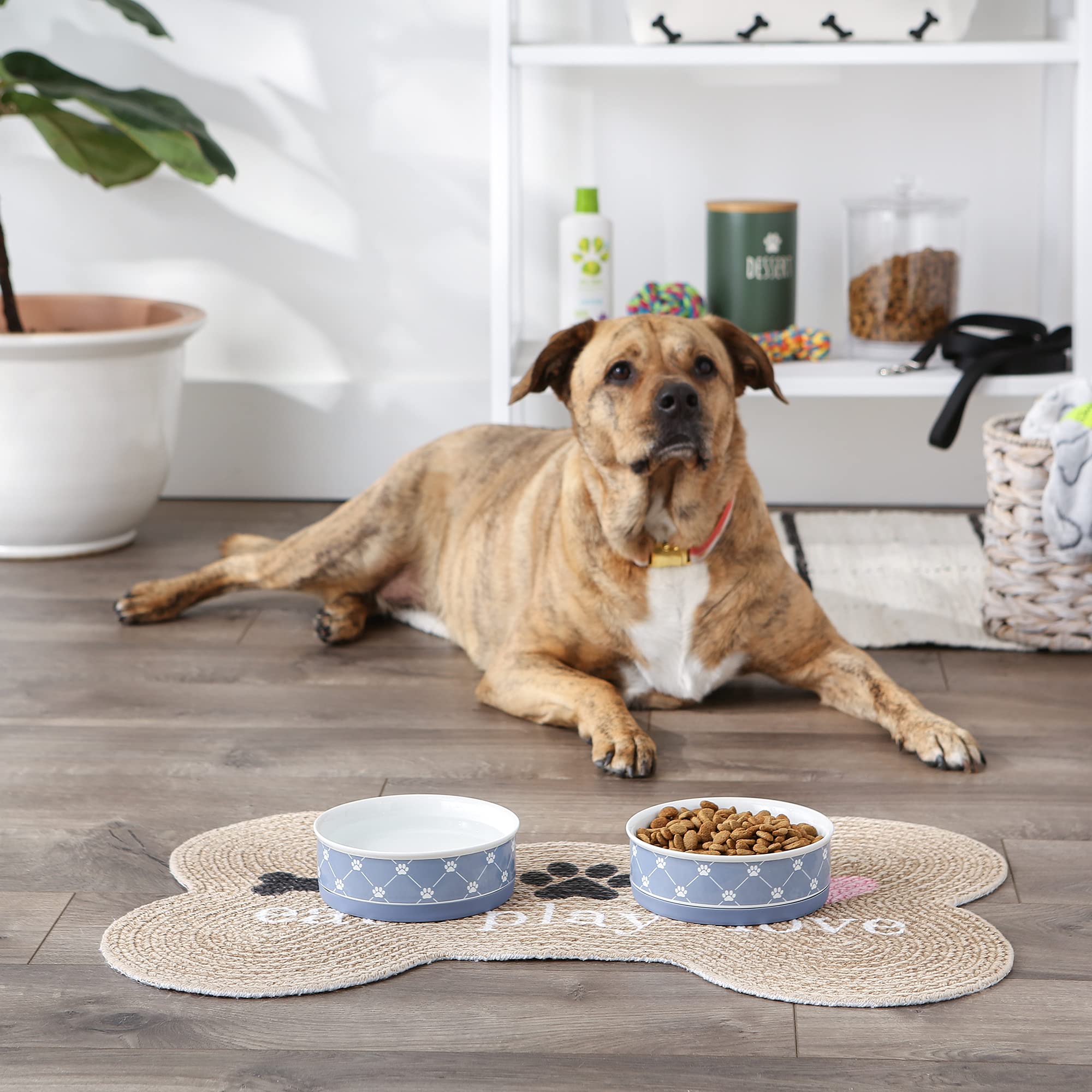 **Bone Dry Trellis Paw Print Pet Bowl Set - Microwave & Dishwasher Safe, Non-Slip Silicone Base, Medium 6x2 Inches, Stonewash Blue (2-Pack) - Perfect for Dogs & Cats, Ideal for Home, Travel, or Outdoor Use**