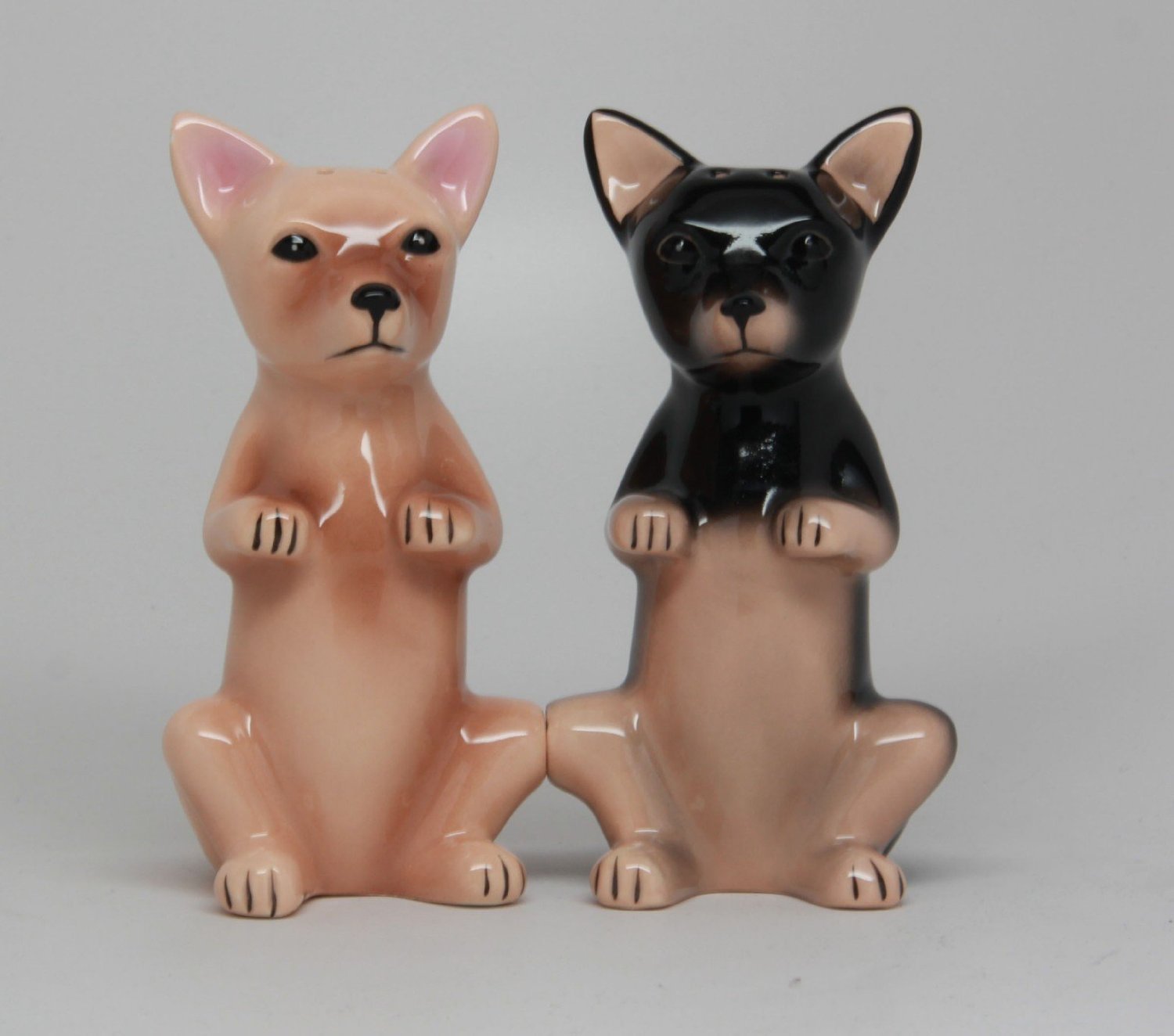 Pacific Giftware ATTRACTIVES Chihuahua Salt and Pepper Shakers Set - Cute Dog-Themed Kitchen Accessories for Home, Restaurant & Gift Giving
