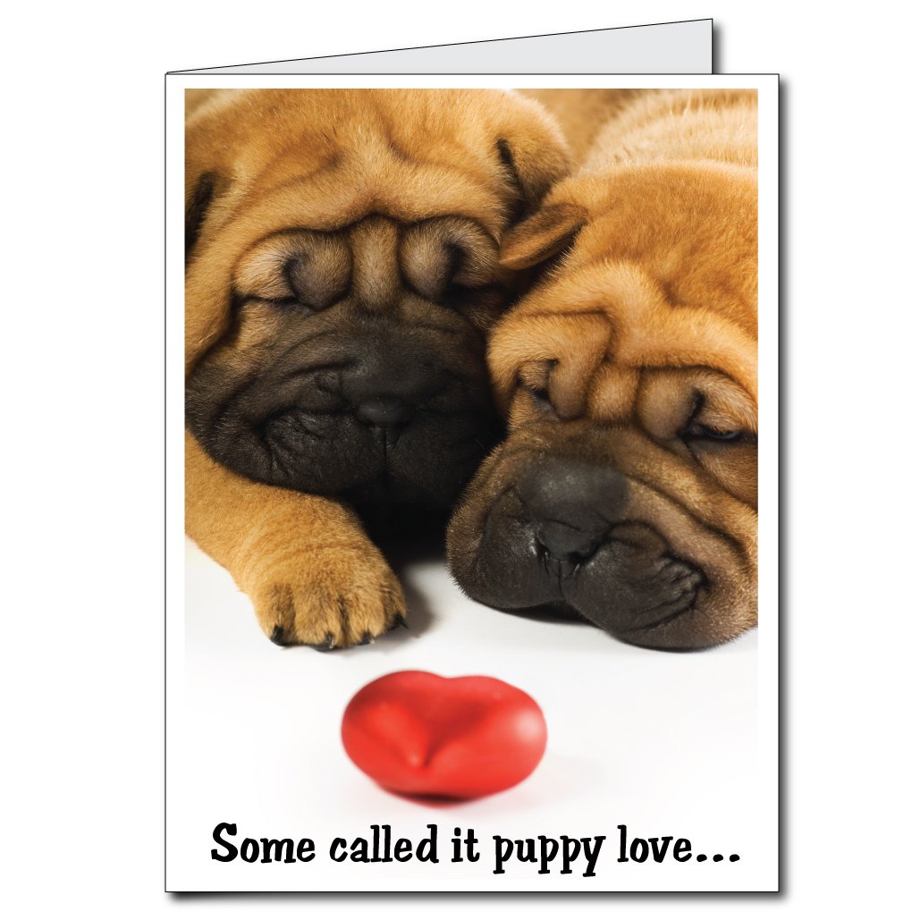 VictoryStore Jumbo Greeting Cards - Extra Large 3ft x 4ft Anniversary Card with Envelope (Puppy Love Design) for Romantic Surprises, Proposal Ideas & Grand Gestures