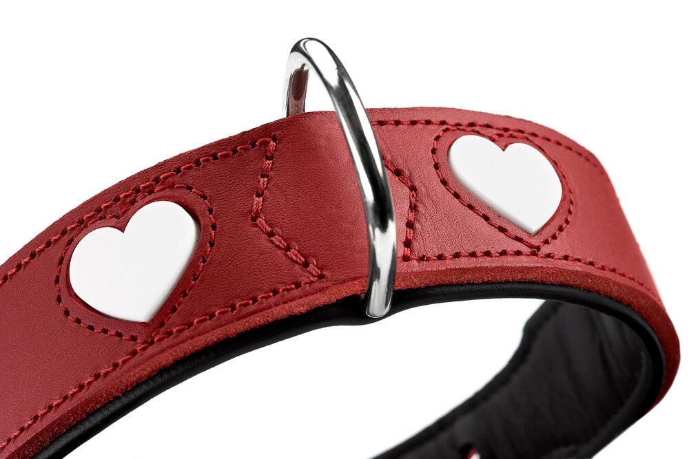 Alpen LOVE Dog Collars for Small & Medium Breeds - Adjustable, Durable & Stylish Pet Collar for Daily Walks & Outdoor Adventures