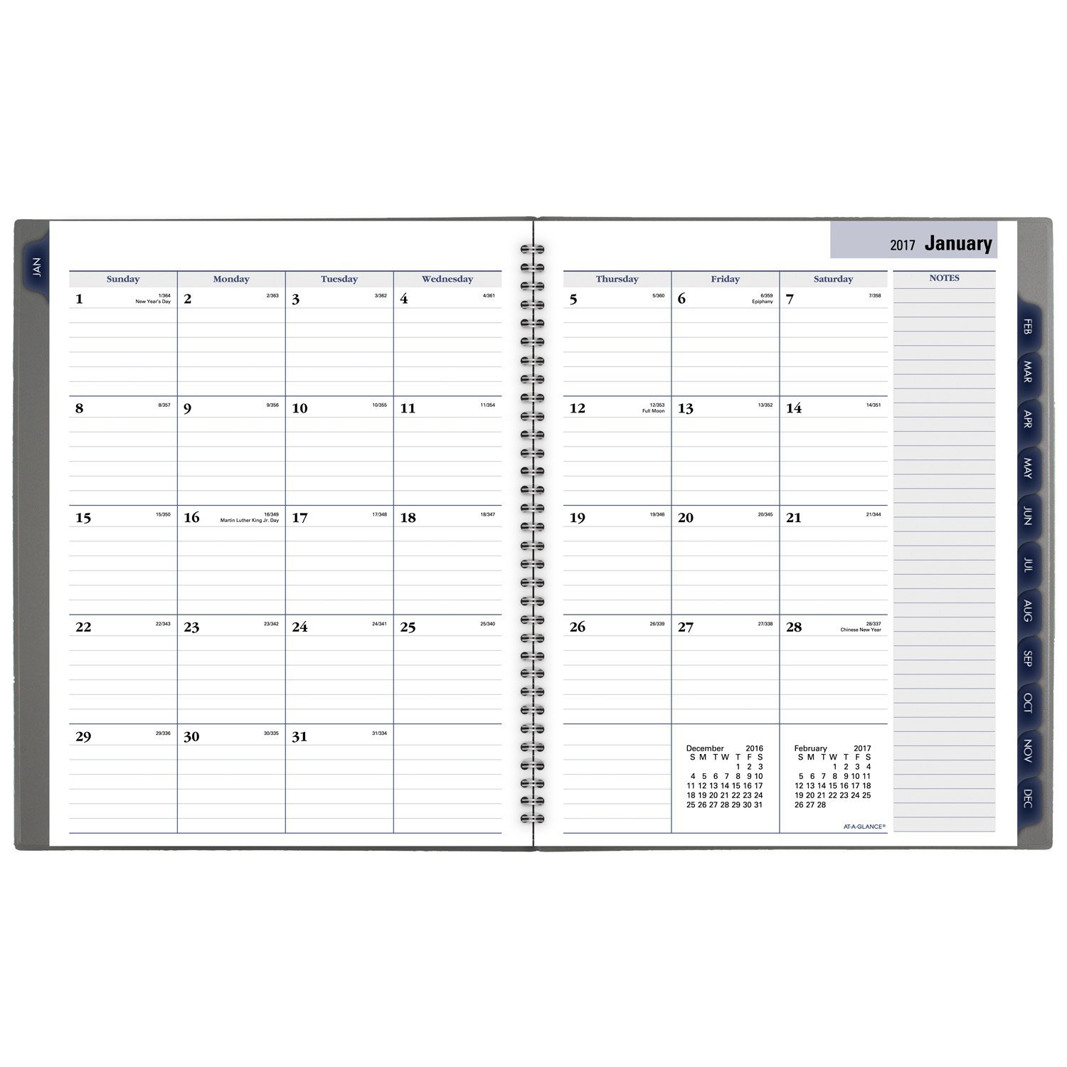 DayMinder Professional Weekly & Monthly Planner 2017 - 8.5 x 11 Inch Appointment Book (GC520-10) for Office, School & Personal Organization