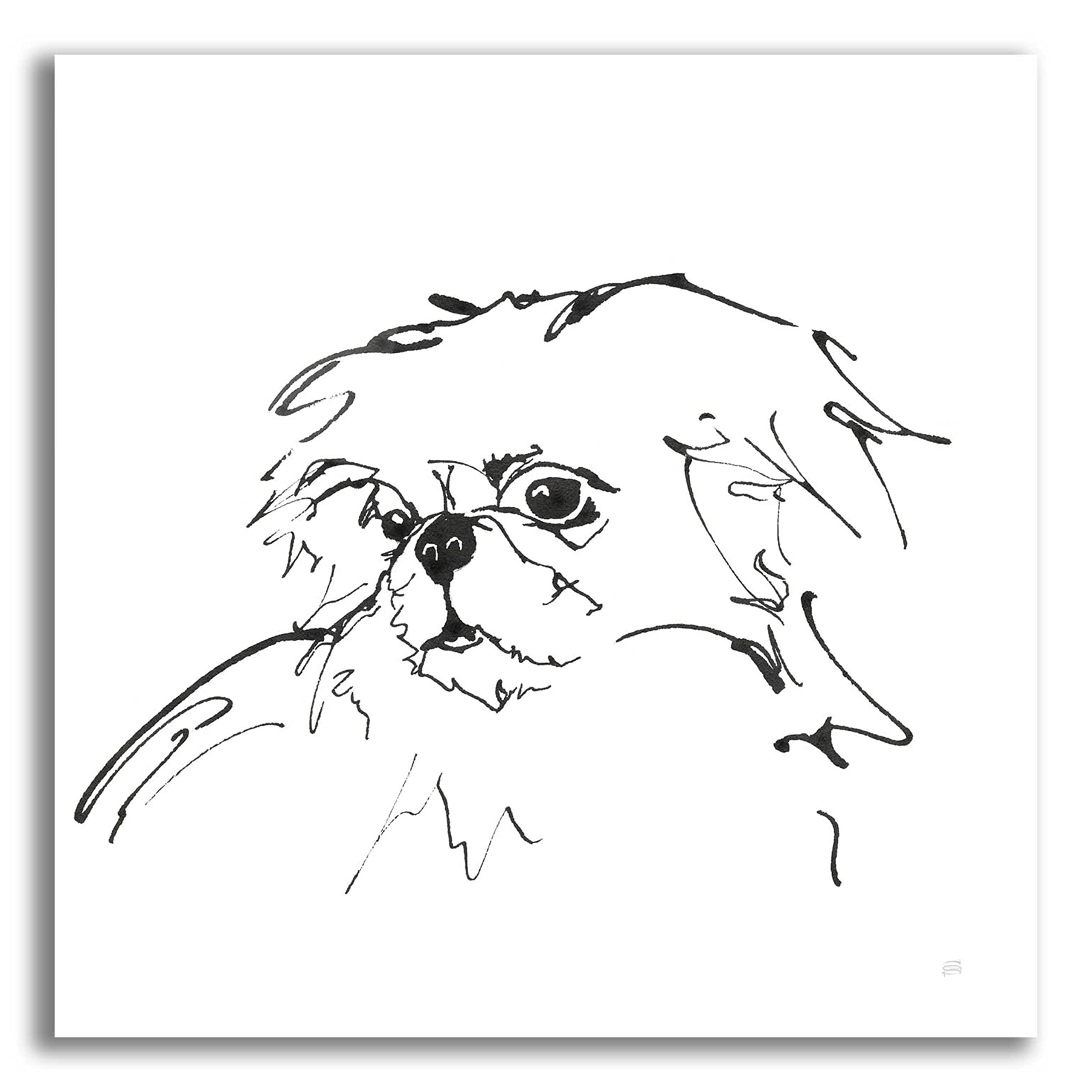 Epic 'Line Dog Pekingese' Acrylic Glass Wall Art by Chris Paschke - 24x24 Inch Modern Home Decor for Living Room, Bedroom & Office
