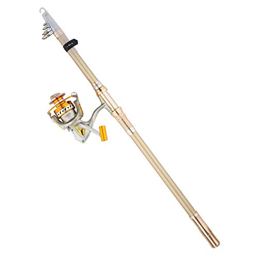 Carbon Fiber Telescopic Fishing Rod and Reel Combo Set - Lightweight Long Cast Saltwater Spinning Rod with Metal Reel for Beginners & Anglers | Perfect for Rock Fishing, Beach Casting & Sea Angling