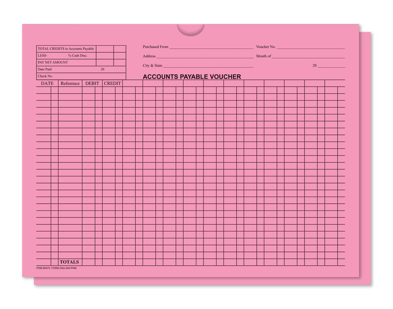 Accounts Payable Voucher Envelopes - Pink Check Payment Envelopes for Business Accounting & Office Use - Perfect for Billing, Invoices, and Financial Documents Organization