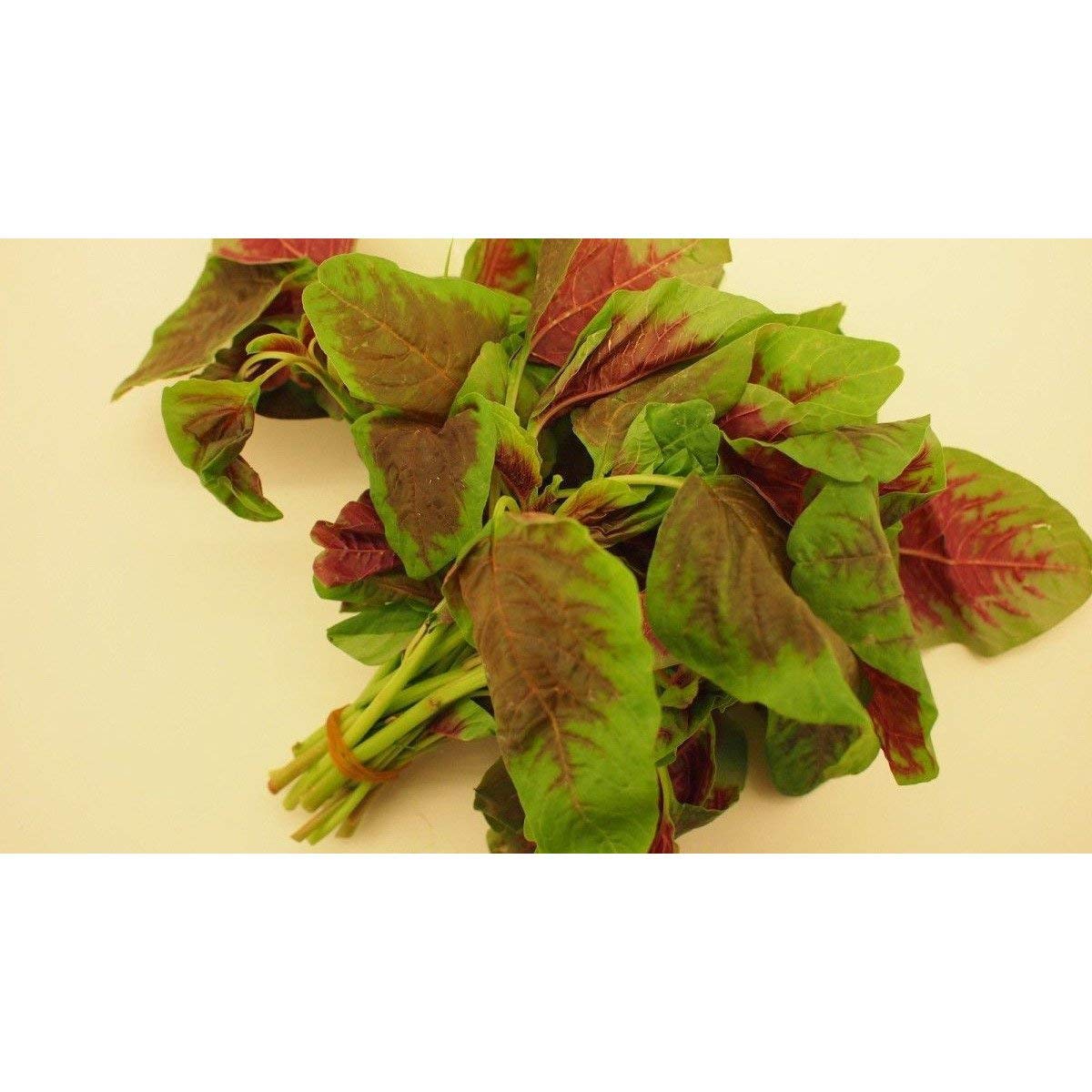 High-Protein Iron & Vitamin-Rich Seeds - More Calcium Than Milk (25 Seeds) | Perfect for Smoothies, Salads & Healthy Snacks