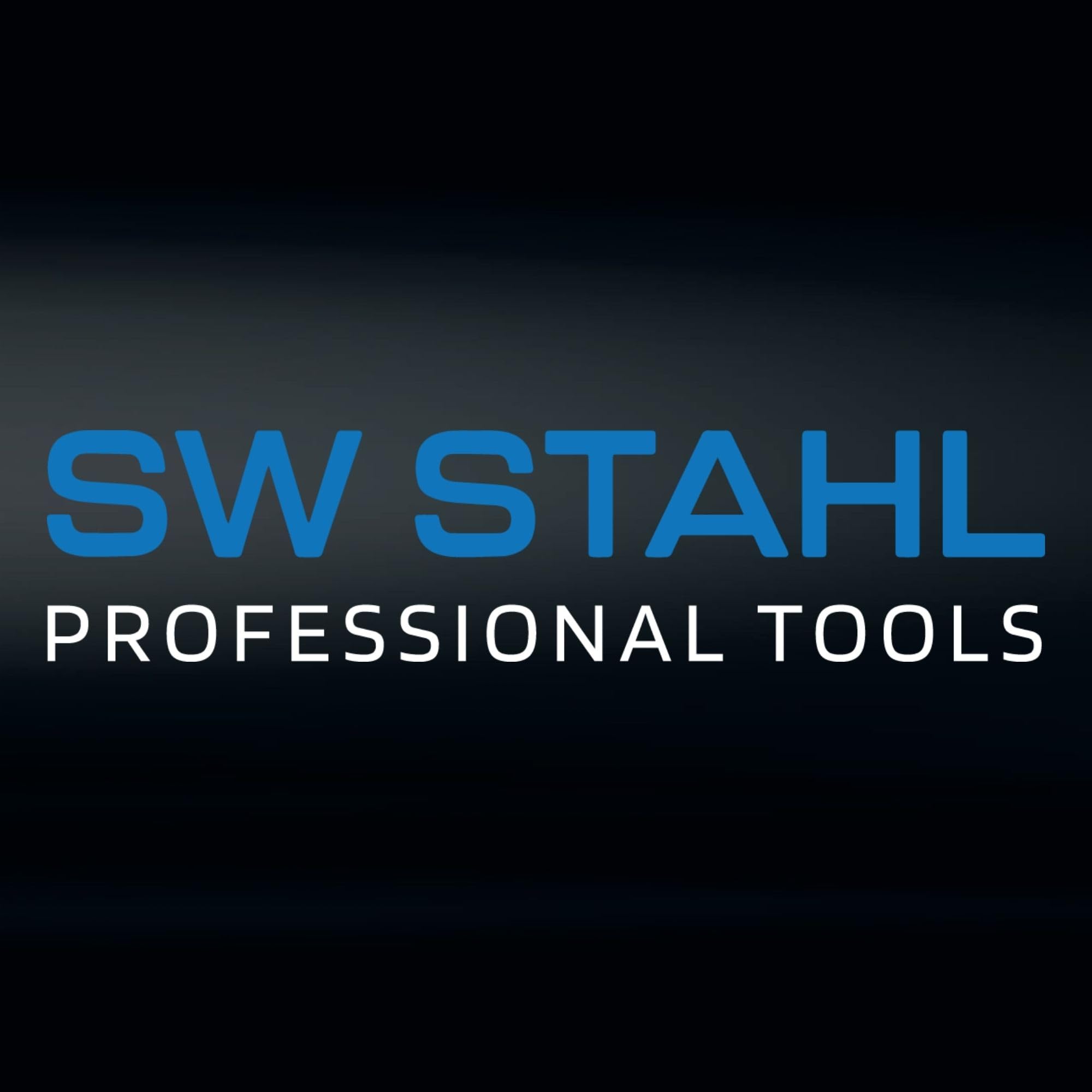 BMW Mini Engine Adjustment Tool Set 26191L - Professional Automotive Repair Kit for Valve Timing & Tensioner Adjustment | Perfect for DIY Mechanics & Professional Technicians