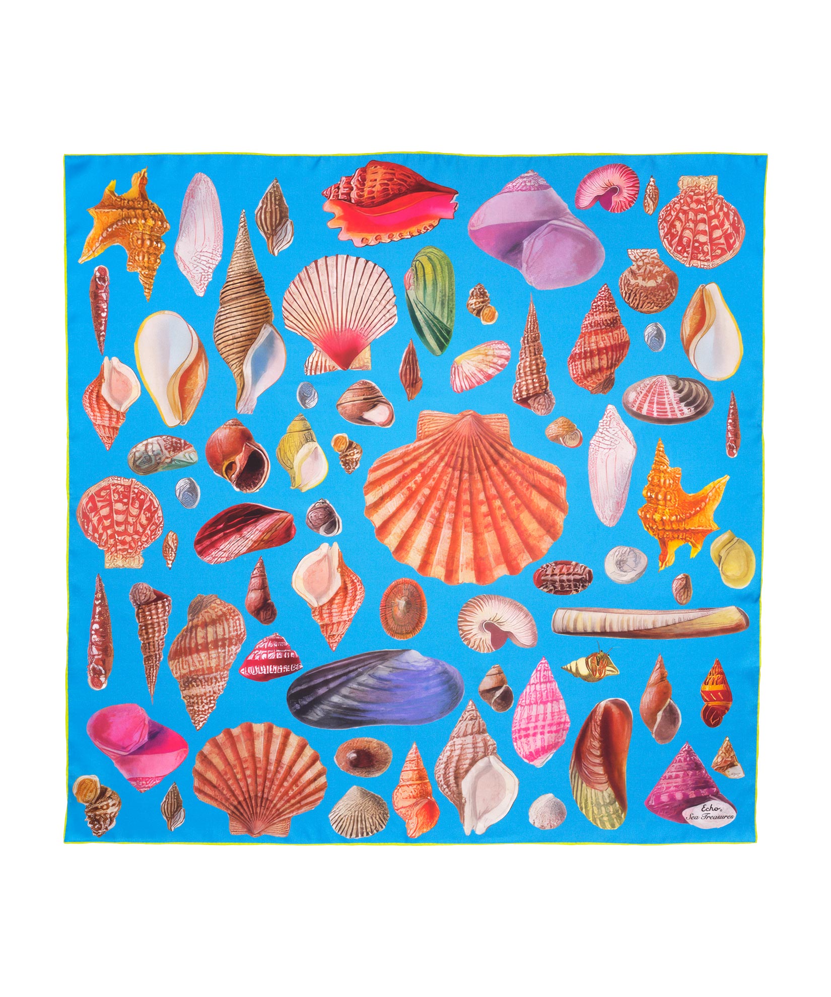 Sea Treasures 35