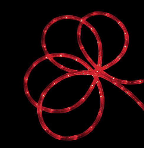 LED Commercial Grade Christmas Rope Lights - 24 Feet Red - Outdoor/Indoor Holiday Decor for Trees, Roofs, Windows