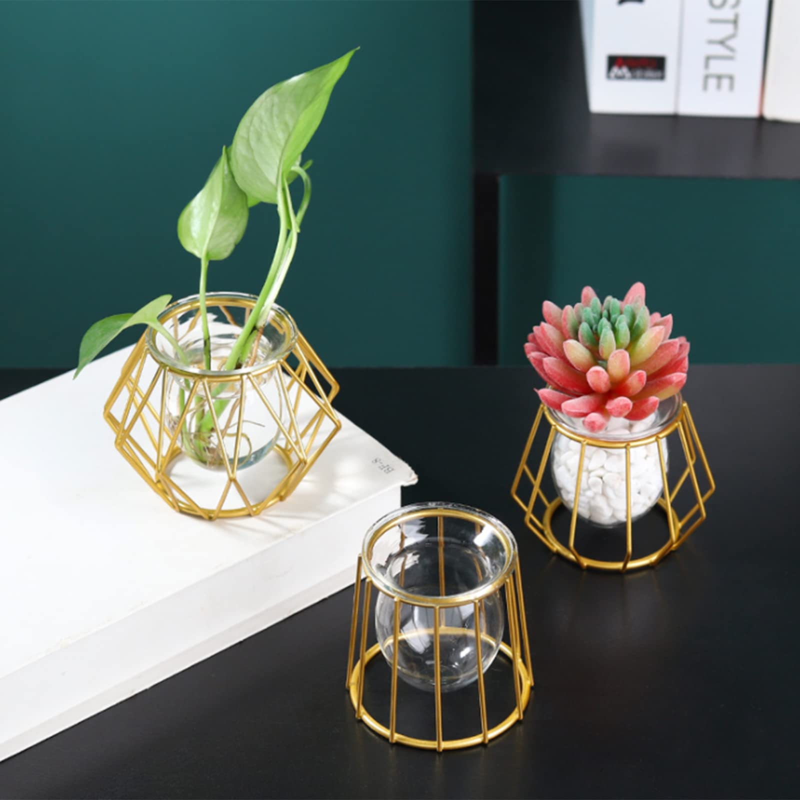 2Pcs Gold Hexagon Geometric Metal Frame Glass Vase - Modern Test Tube Vase for Hydroponic Plants, Flowers & Centerpieces - Perfect for Home, Office, Wedding & Holiday Party Table Decor