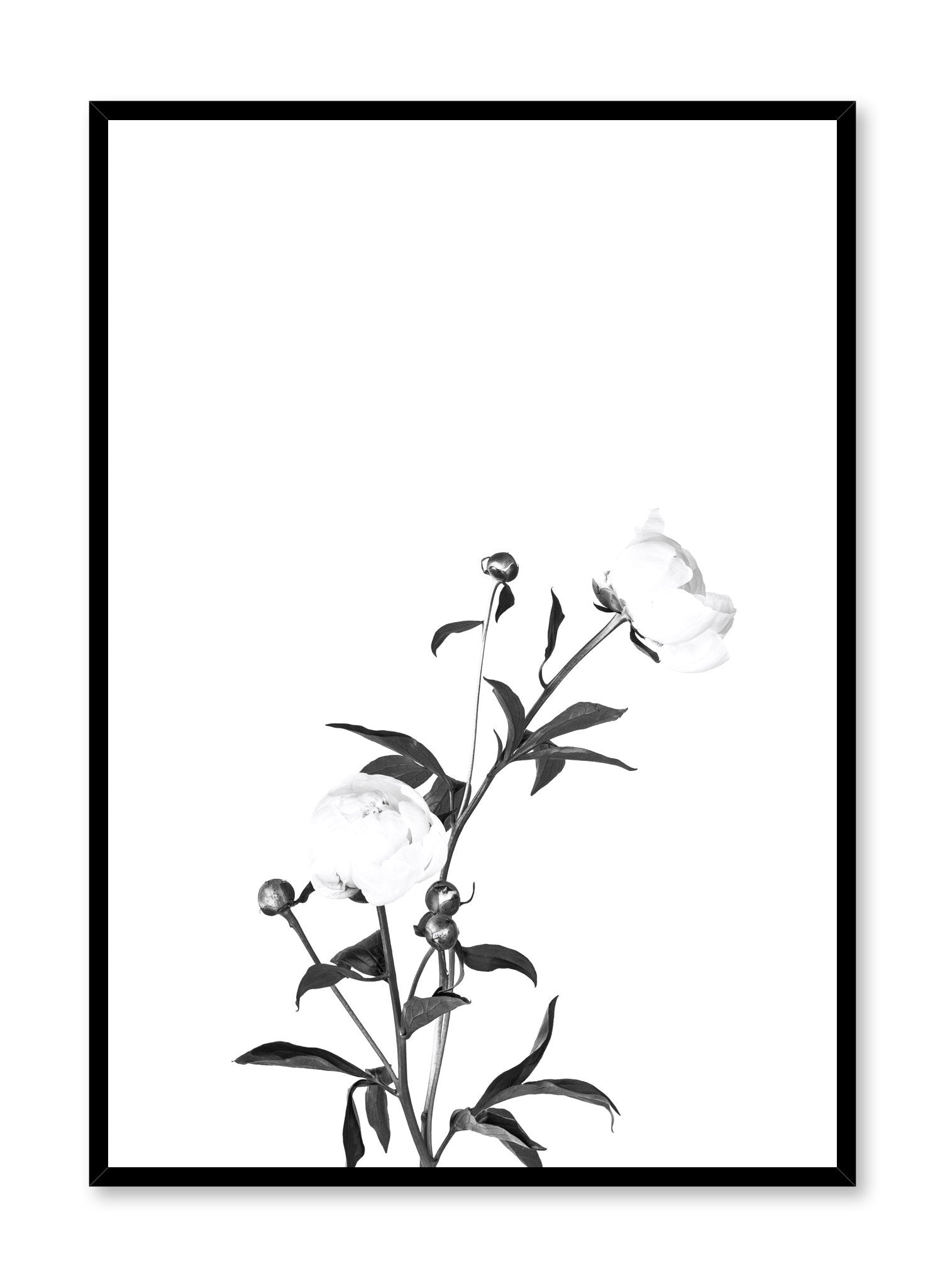 Romantic Black Wall Art Poster - Elegant Home Decor for Living Room, Bedroom & Office | Perfect for Valentine's Day & Anniversary Gifts