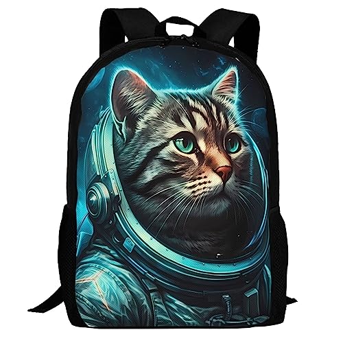 Aerospace Cat