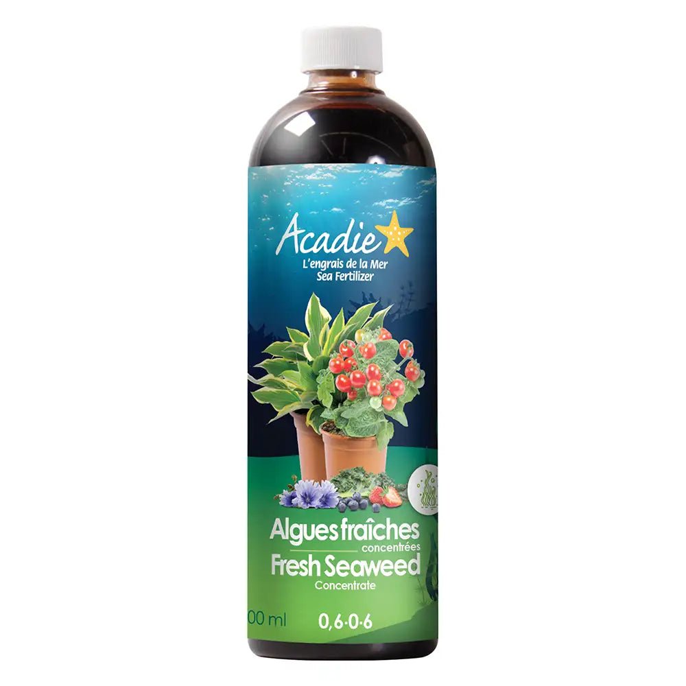 Organic Acadie Fresh Seaweed Fertilizer Concentrate (0.6-0-6) - Natural Plant Food for Vegetables, Flowers & Lawns - Ideal for Indoor Plants, Gardens & Hydroponics