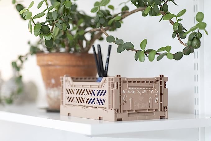 Aykasa Collapsible Storage Bins - Stackable Plastic Crates for Home & Office (Small, Almond Green)