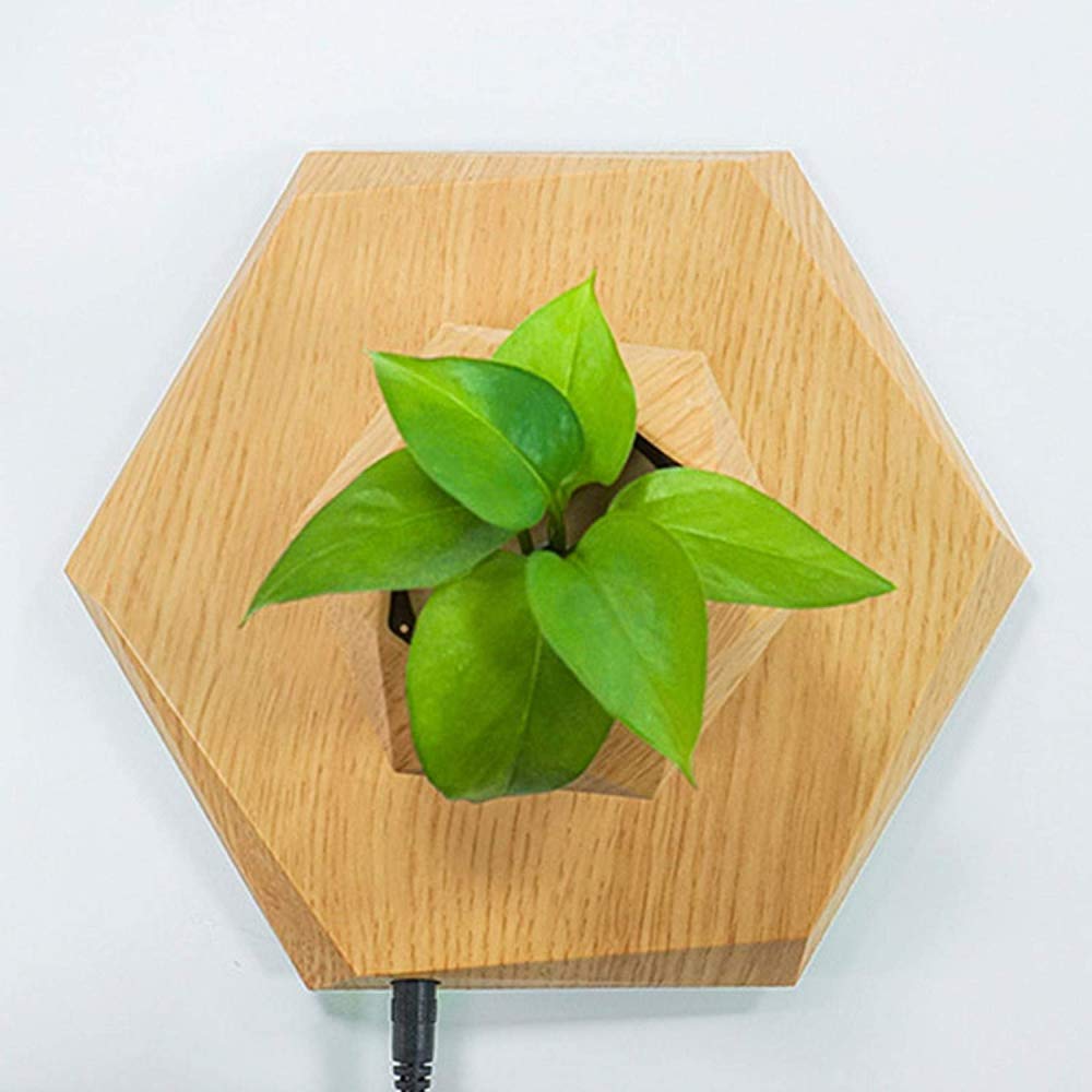 Magnetic Levitation Floating Air Plant Pot - Wood Grain Hanging Bonsai for Office Desk, Home Decor & Reception Areas | Creative Indoor Gardening Gift Idea
