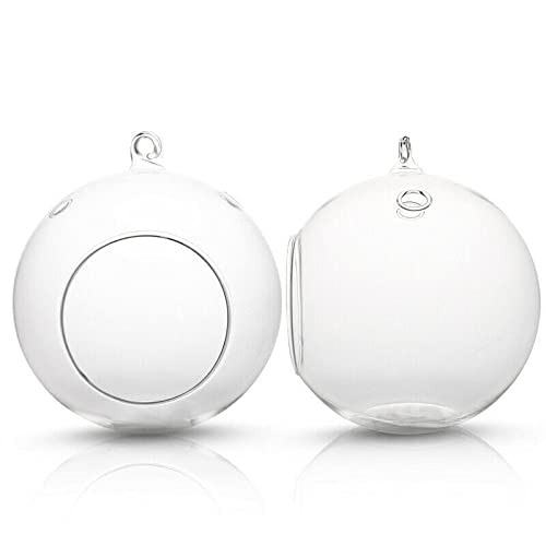 2-Pack Hanging Glass Terrarium Planter Pots - Decorative Flower Vase for Indoor Plants, Succulents & Air Plants | Perfect for Home, Office, Wedding & Boho Decor
