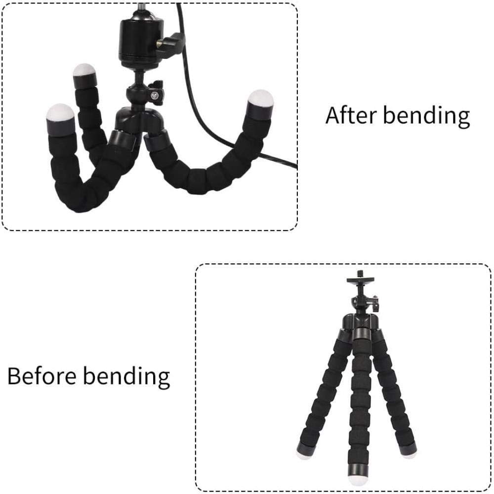 16cm Ring Light with Stand - LED Beauty Fill Light for Phone, Computer, Makeup, Jewelry & Food Photography - Perfect for Live Streaming, YouTube Videos & TikTok Content
