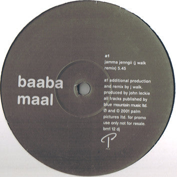 Baaba Maal – Jamma Jenngii Vinyl LP | Palm Pictures BM1 12DJ | Authentic African Music for Home Listening & Cultural Enrichment