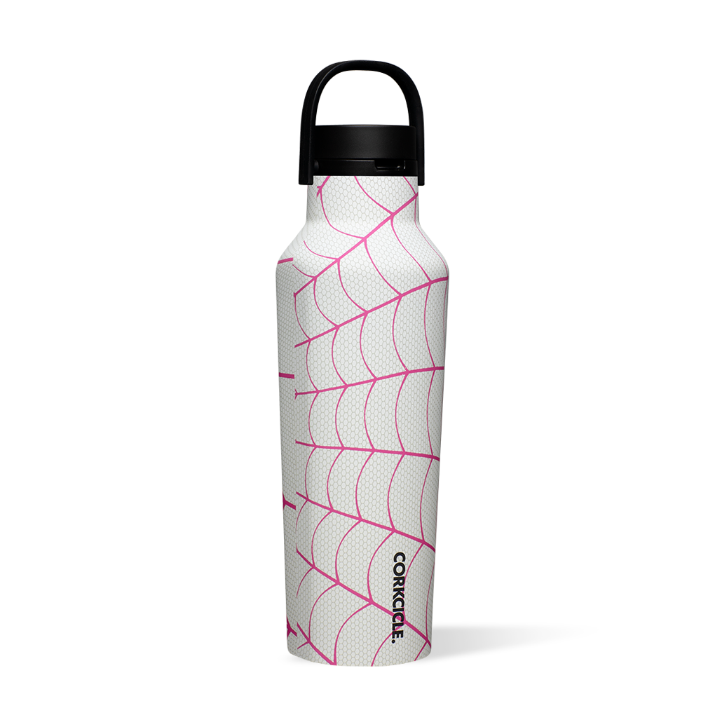Marvel Superheroes Stainless Steel Sports Water Bottle - Leak Proof & Insulated for Gym, Hiking & Outdoor Adventures