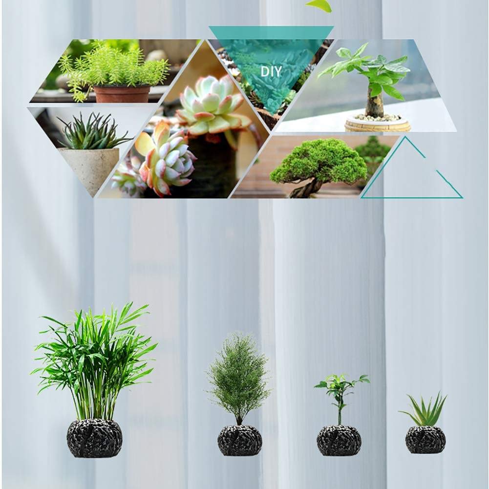 Magnetic Floating Flower Pot - Levitating Air Bonsai Planter with Creative Design for Home & Office Decor - Unique Gift Idea for Plant Lovers (Black) | Perfect for Modern Living Rooms, Office Desks, and Zen Spaces