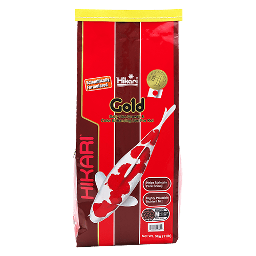 Hikari Koi Gold Floating Pellet Fish Food - Premium Floating Pellets for Koi, Goldfish & Pond Fish - Ideal for Outdoor Ponds, Water Gardens & Aquariums