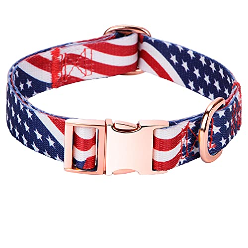 G_Metal-The American Flag