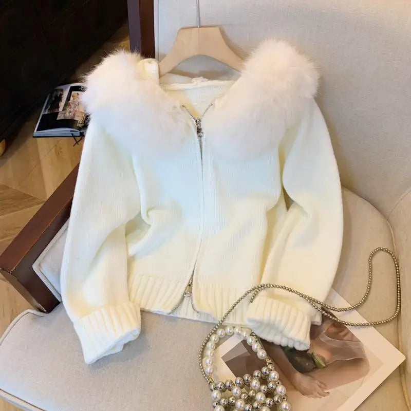 Women's Plush Hoodie Cardigan - Korean Fashion Winter Sweater with Zipper | Soft Cotton Knit Coat for Casual Wear & Vacation | Warm Thick Tops for Fall & Winter Seasons